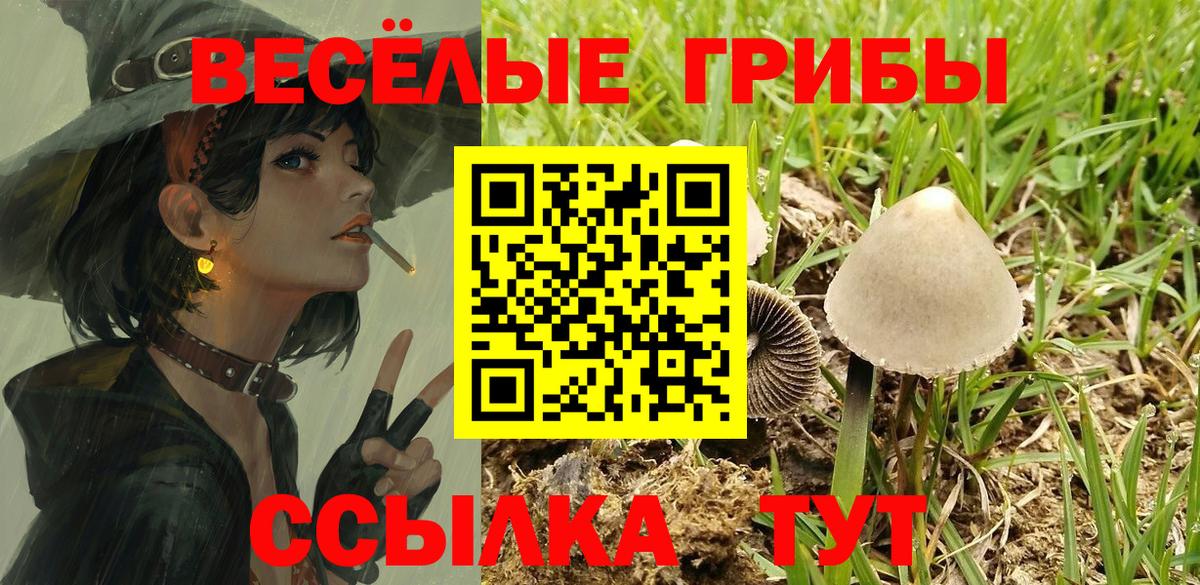 APVP Рубцовск