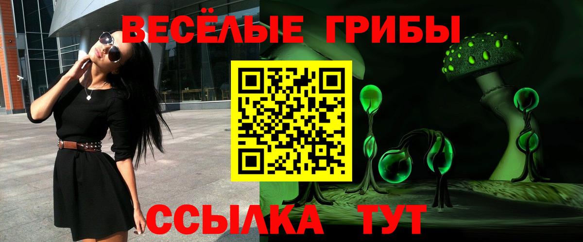 Рубцовск  Галлюциногенные грибы MAGIC MUSHROOMS  Вход с VPN 